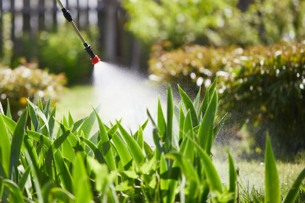 Tamper-Resistant Bait Stations for Rodents in Forsyth